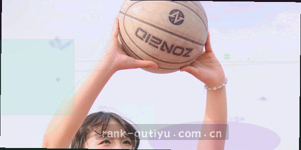 盾牌图标与数据流安全示意